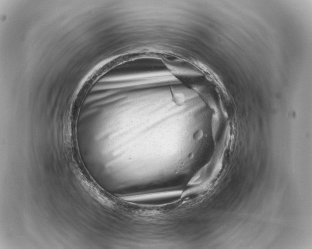 X0000087620784200705120017
