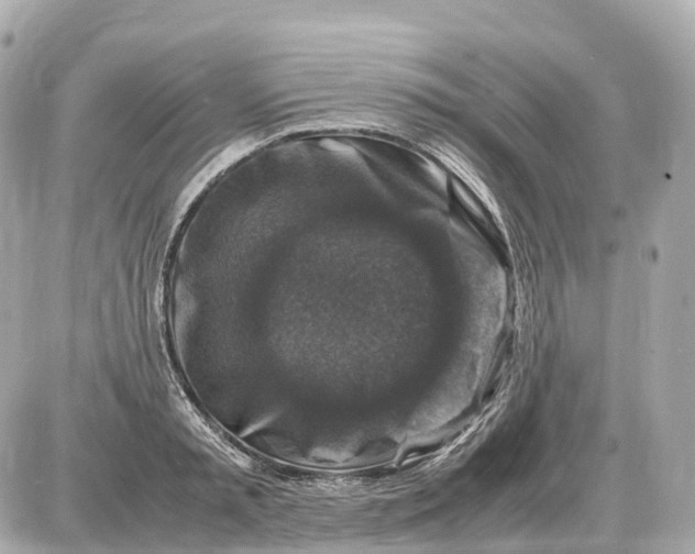 X0000087620797200705120017
