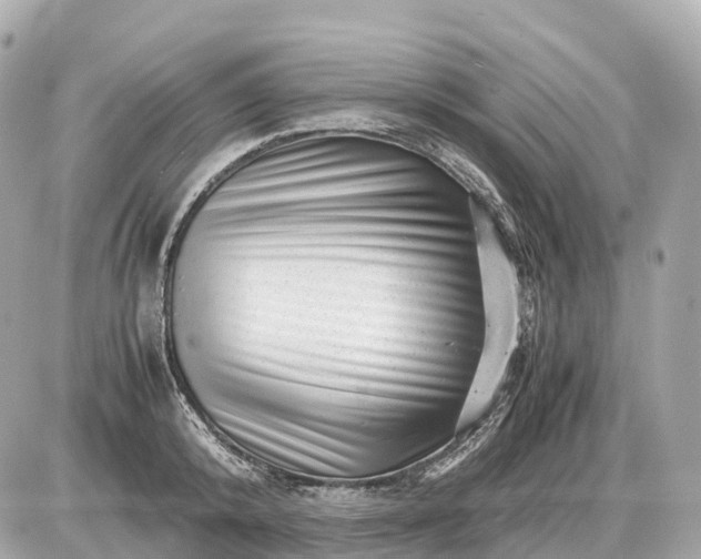 X0000087620800200705120017