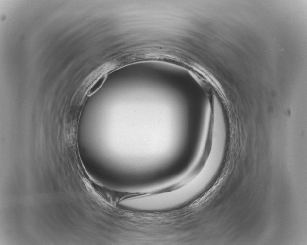 X0000087620801200705120017