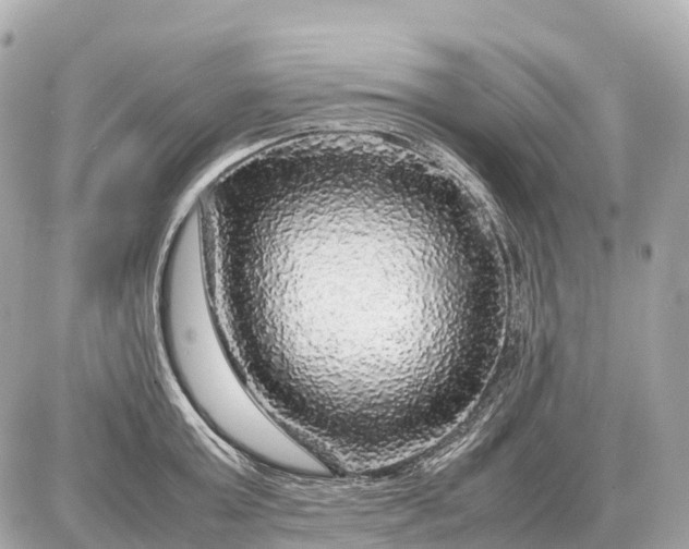 X0000087620803200705120017
