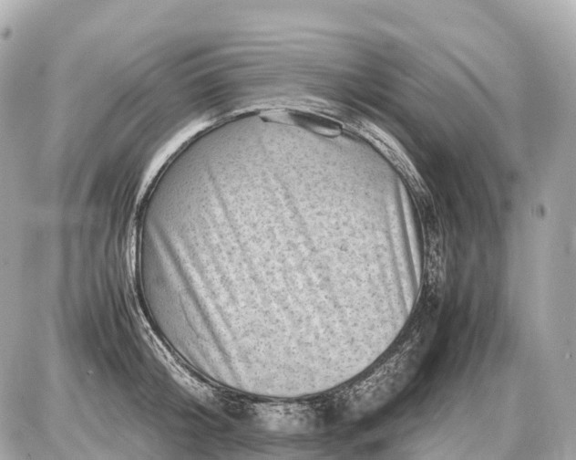 X0000087620804200705120017