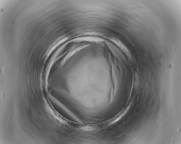 X0000087620806200705120017