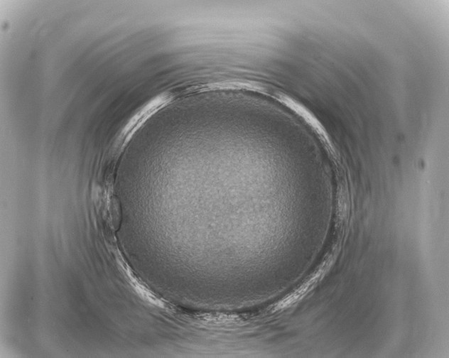 X0000087620809200705120017