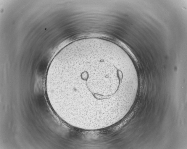 X0000087620810200705120017