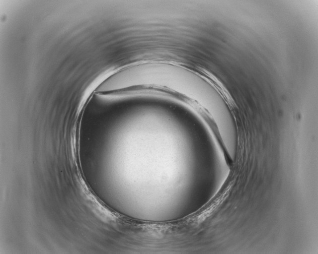 X0000087620812200705120017
