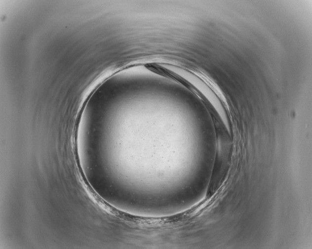 X0000087620813200705120017
