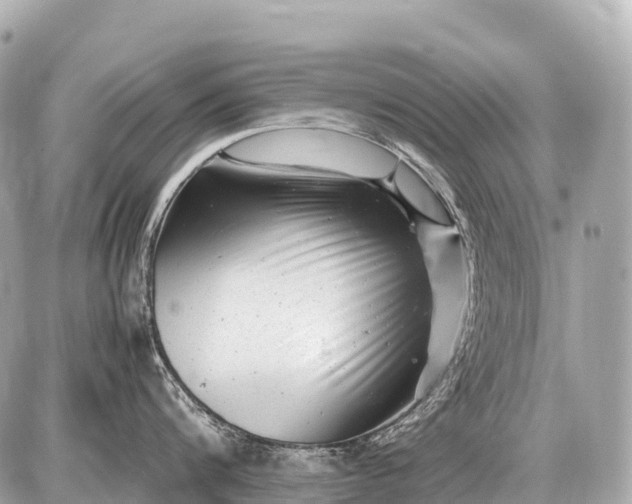 X0000087620816200705120017