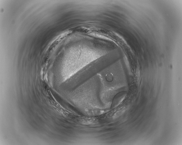 X0000087620823200705120016