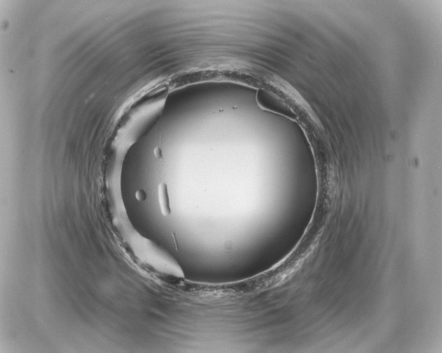 X0000087620826200705120016