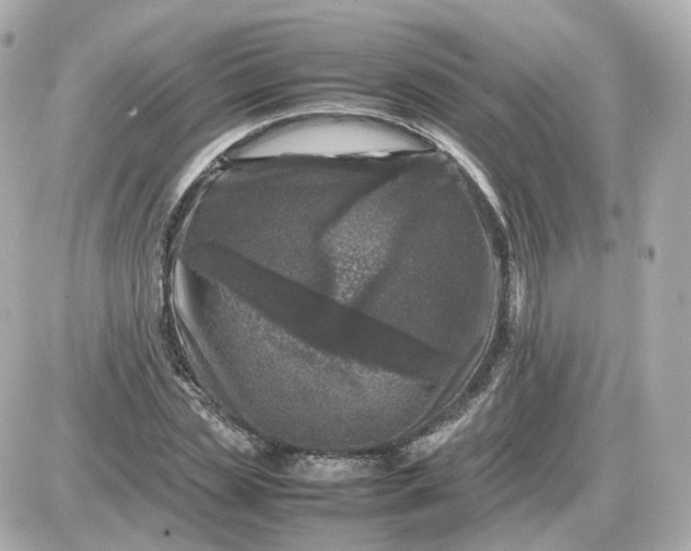X0000087620829200705120016