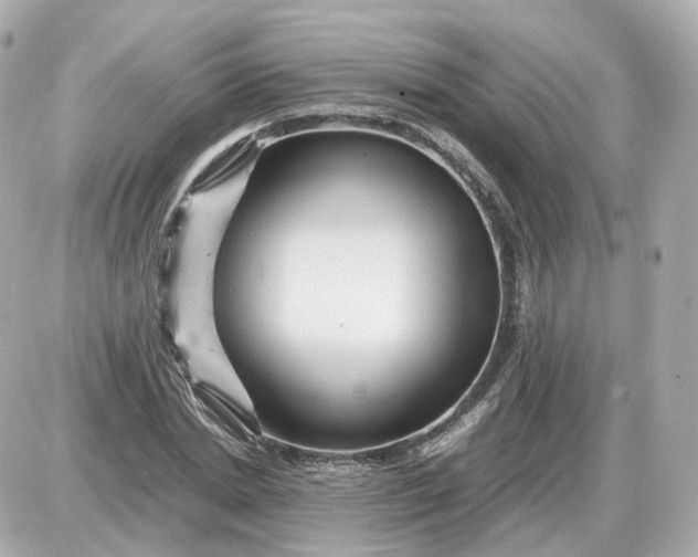 X0000087620830200705120016