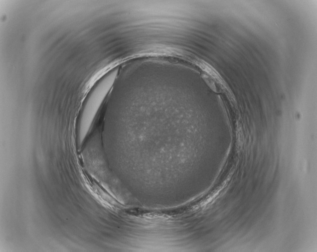 X0000087620842200705120016