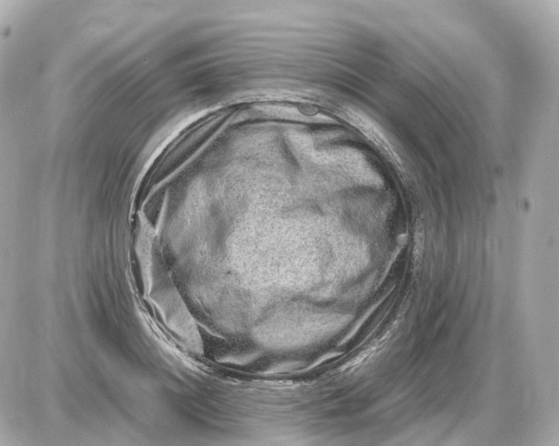 X0000087620844200705120016