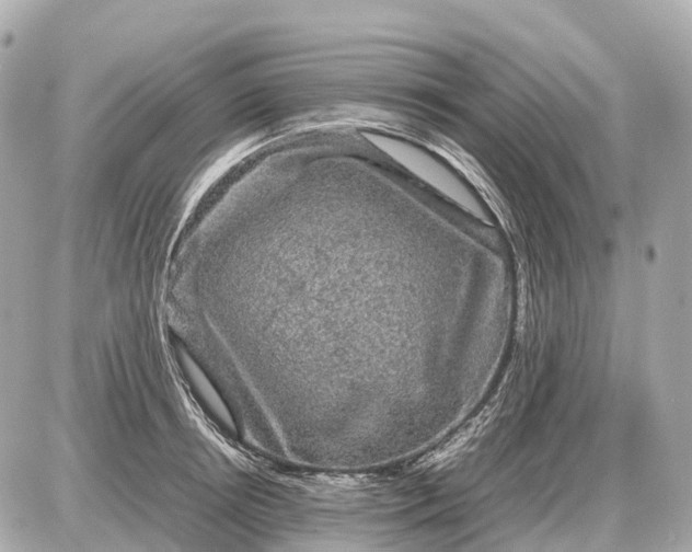 X0000087620850200705120016