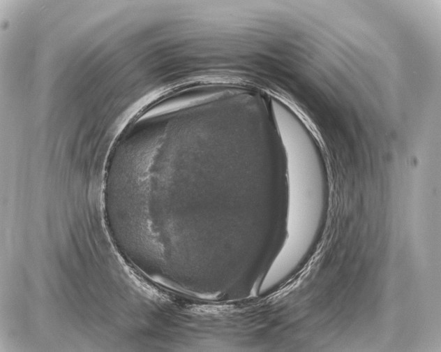 X0000087620853200705120016