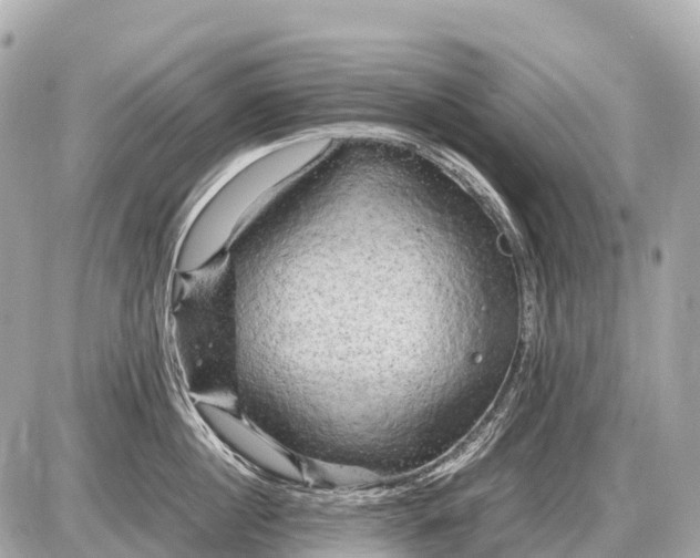 X0000087620860200705120016