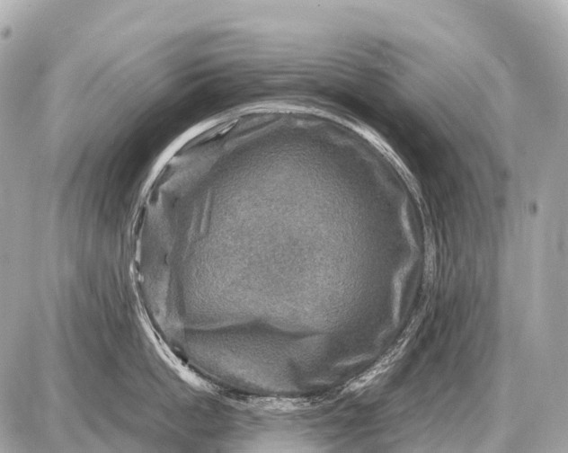X0000087620862200705120016