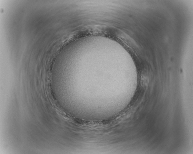 X0000087620865200705120016