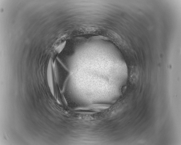 X0000087620866200705120016