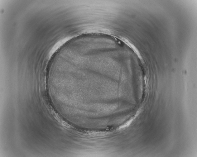 X0000087620877200705120016