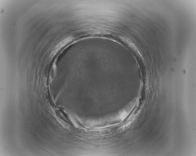 X0000087620881200705120015