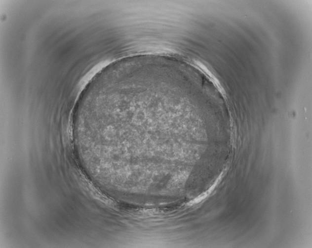 X0000087620883200705120015