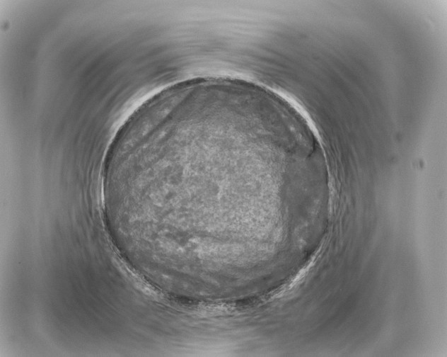 X0000087620887200705120015