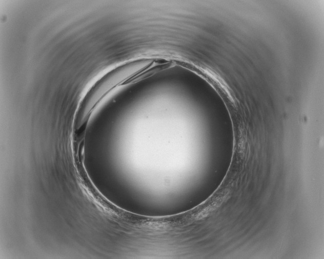 X0000087620888200705120015