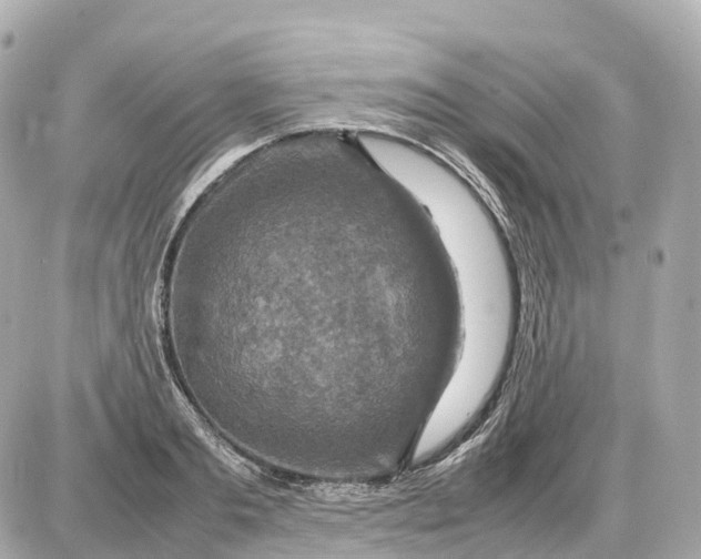 X0000087620893200705120015