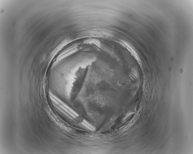 X0000087620899200705120015