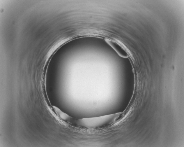 X0000087620901200705120015