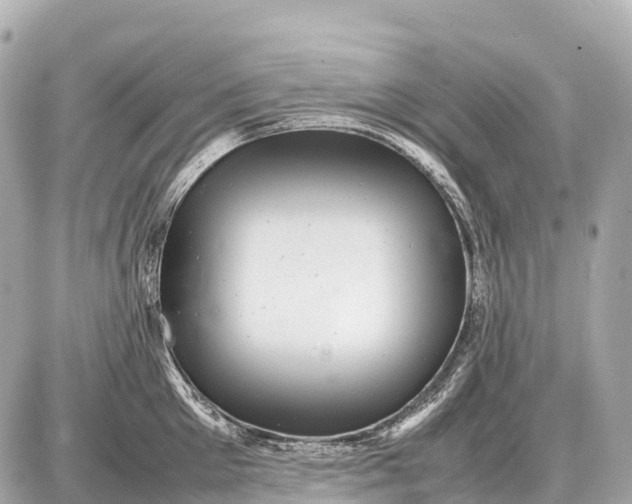 X0000087620905200705120015