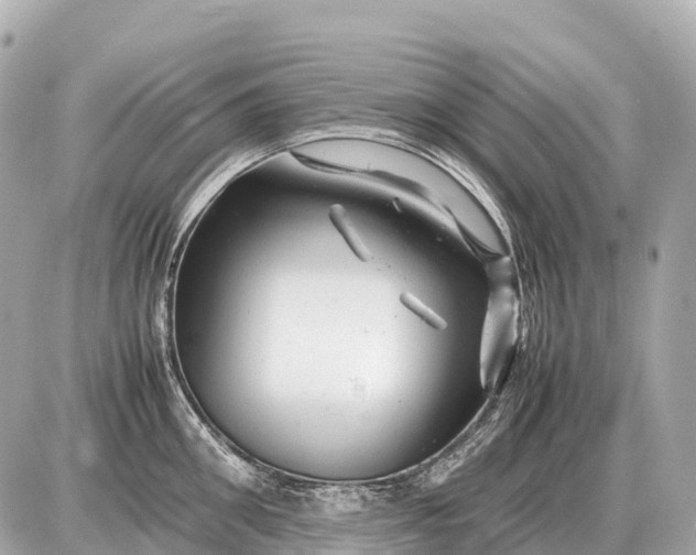 X0000087620906200705120015