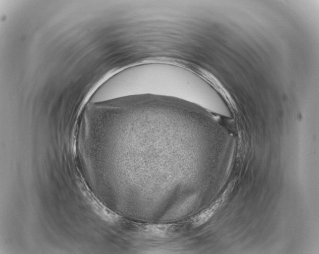 X0000087620908200705120015