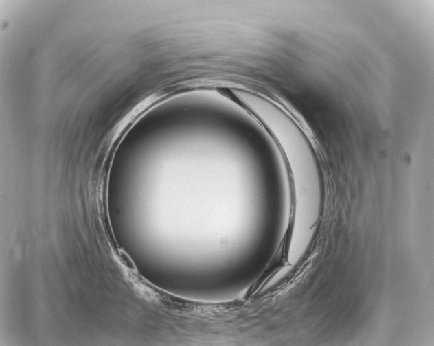 X0000087620909200705120015