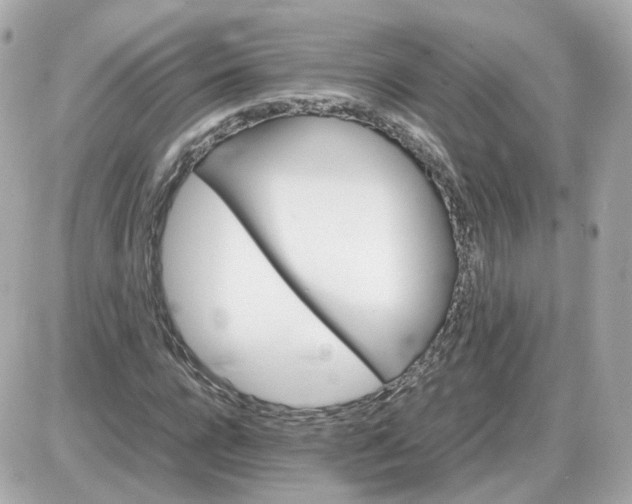 X0000087620920200705120014