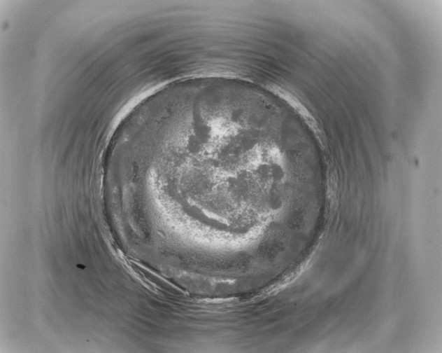 X0000087620933200705120015