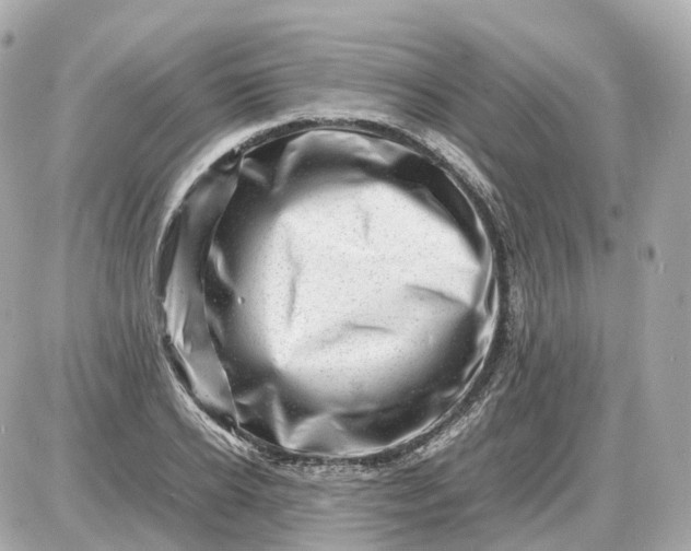 X0000087620934200705120015