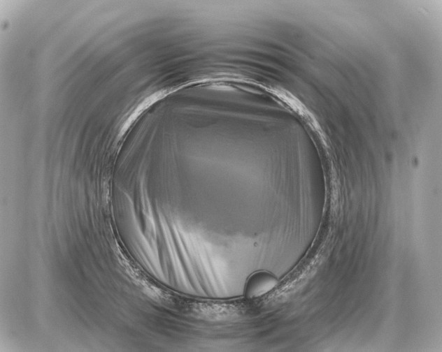X0000087620945200705120015