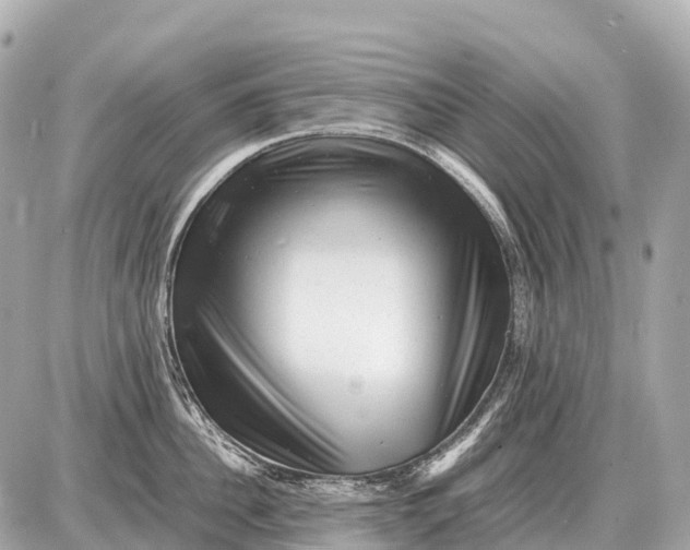 X0000087620956200705120015