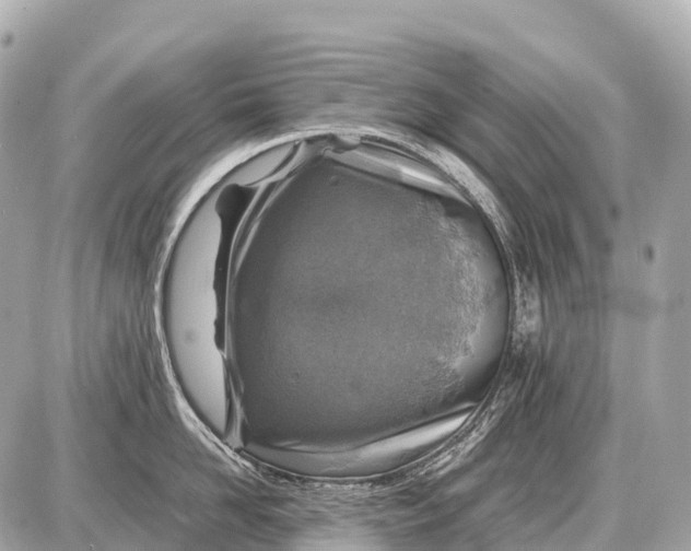 X0000087620958200705120015
