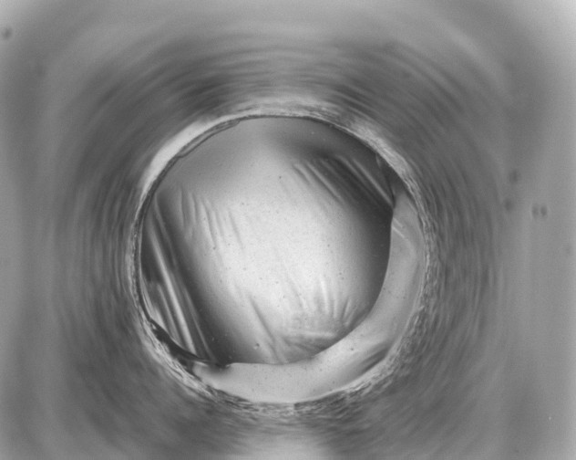 X0000087620960200705120015