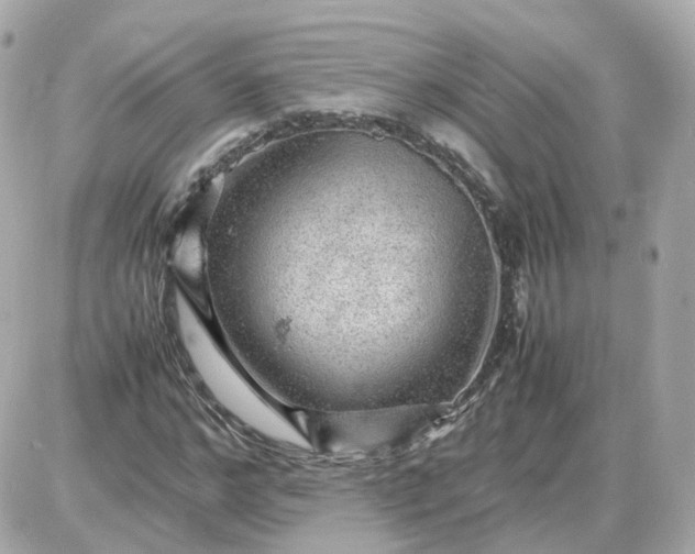 X0000087620968200705120014