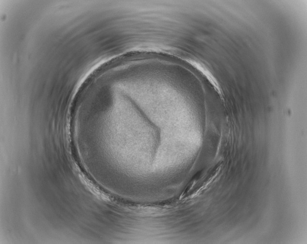 X0000087620976200705120014