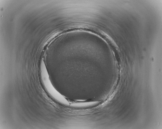 X0000087620977200705120014