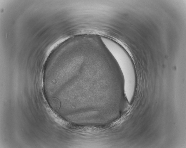 X0000087620987200705120014