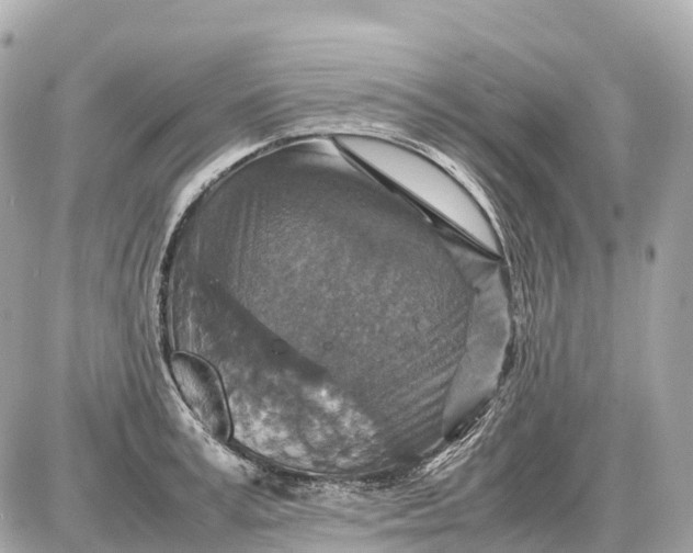 X0000087620995200705120014