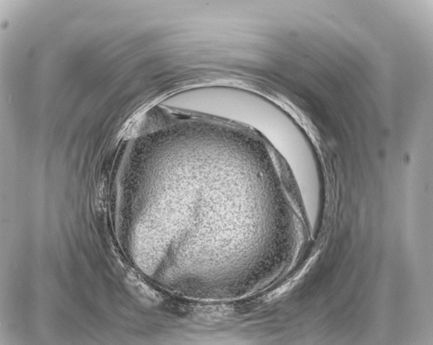 X0000087621001200705120014