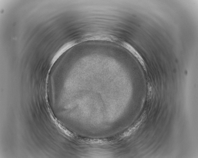 X0000087621002200705120014